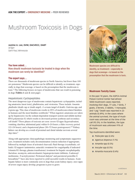 Mushroom Toxicosis in Dogs