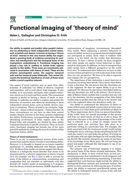 Functional Imaging of 'Theory of Mind'
