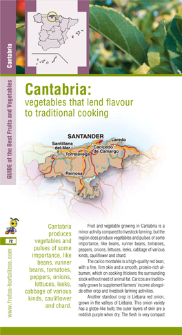 Cantabria: Vegetables That Lend Flavour to Traditional Cooking GUIDE of the Best Fruits and Vegetables