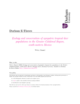 Latin American Deer Diversity and Conservation: a Review of Status and Distribution