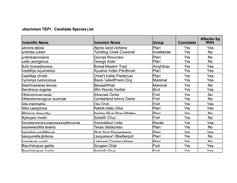 Attachment TEP2. Candidate Species List Scientific Name Common