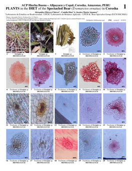 PLANTS in the DIET of the Spectacled Bear (Tremarctos Ornatus) in Corosha 1