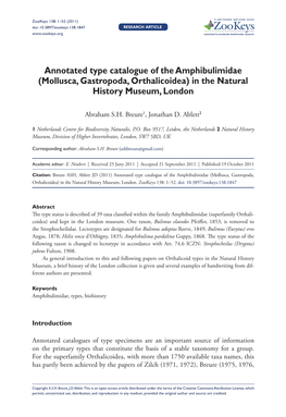 Annotated Type Catalogue of the Amphibulimidae