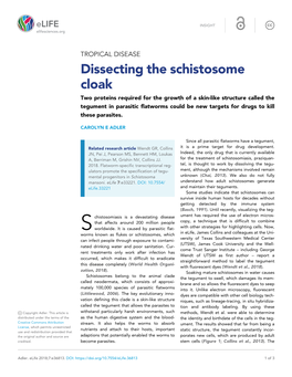 Dissecting the Schistosome Cloak