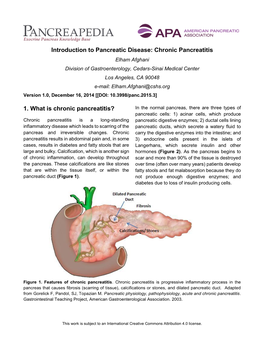 Introduction to Pancreatic Disease