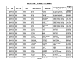 Ultra Small Branches (USB) Details