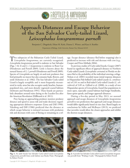 Approach Distances and Escape Behavior of the San