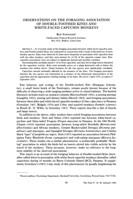 Observations on the Foraging Association of Double-Toothed Kites and White-Faced Capuchin Monkeys