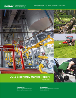 2013 Bioenergy Market Report March 2016