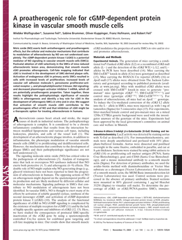 A Proatherogenic Role for Cgmp-Dependent Protein Kinase in Vascular Smooth Muscle Cells