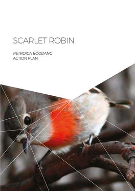 Scarlet Robin Action Plan