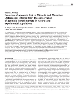 Evolution of Apomixis Loci in Pilosella and Hieracium (Asteraceae) Inferred from the Conservation of Apomixis-Linked Markers in Natural and Experimental Populations