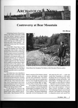Controversy at Bear Mountain
