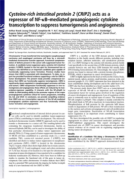 Cysteine-Rich Intestinal Protein 2 (CRIP2) Acts As a Repressor of NF