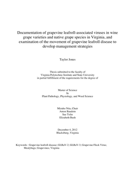 Documentation of Grapevine Leafroll-Associated Viruses in Wine Grape Varieties and Native Grape Species in Virginia, and Examina