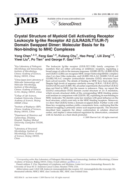 LILRA2/ILT1/LIR-7) Domain Swapped Dimer: Molecular Basis for Its Non-Binding to MHC Complexes