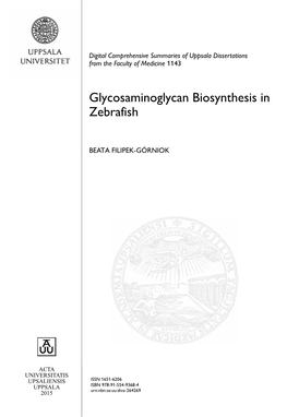 Glycosaminoglycan Biosynthesis in Zebrafish