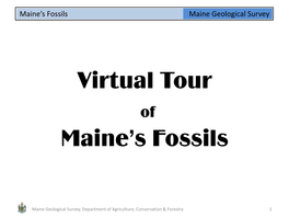 Virtual Tour of Maine's Fossils