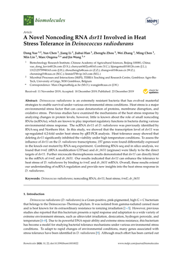 A Novel Noncoding RNA Dsr11 Involved in Heat Stress Tolerance in Deinococcus Radiodurans