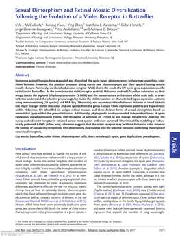 Sexual Dimorphism and Retinal Mosaic Diversification Following the Evolution of a Violet Receptor in Butterflies Article