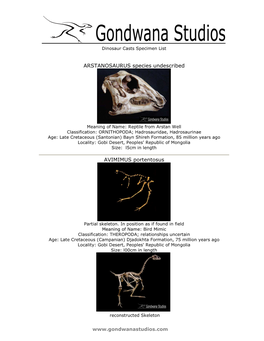 ARSTANOSAURUS Species Undescribed AVIMIMUS Portentosus