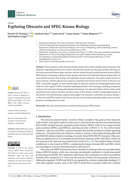 Exploring Obscurin and SPEG Kinase Biology