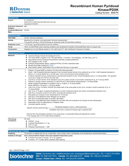 Recombinant Human Pyridoxal Kinase/PDXK