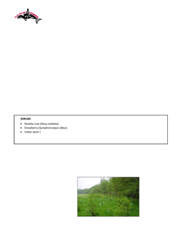 Guide for Planting Stream Or Wetland Buffers Tulalip Reservation