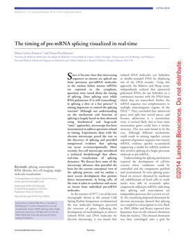 The Timing of Pre-Mrna Splicing Visualized in Real-Time