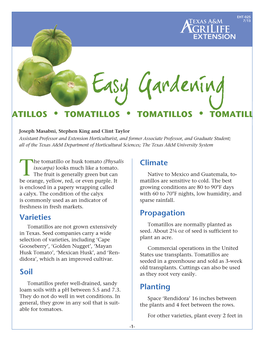 Tomatillos • Tomatillos • Tomatill