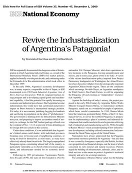 Revive the Industrialization of Argentina's Patagonia!