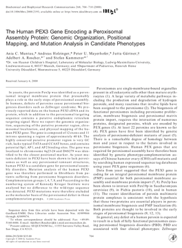 The Human PEX3 Gene Encoding a Peroxisomal Assembly Protein: Genomic Organization, Positional Mapping, and Mutation Analysis in Candidate Phenotypes