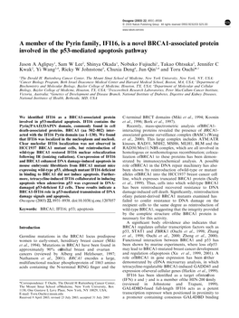 A Member of the Pyrin Family, IFI16, Is a Novel BRCA1-Associated Protein Involved in the P53-Mediated Apoptosis Pathway