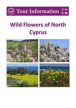 Wild Flowers of North Cyprus