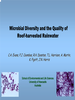 Microbial Diversity in Rainwater Harvesting Systems: Towards an Understanding of Tank Water Quality