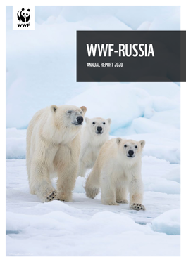 Wwf-Russia Annual Report 2020