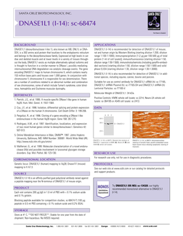 Datasheet Blank Template