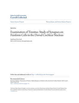 Examination of Tinnitus: Study of Synapses on Fusiform Cells in the Dorsal Cochlear Nucleus Stephanie Bouanak John Carroll University, Sbouanak15@Jcu.Edu