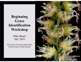 Beginning Grass Identification Workshop