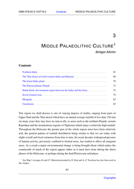 Middle Palaeolithic Culture