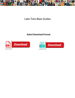 Lake Toho Bass Guides
