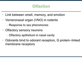 The Cochlea • Hair Cells Bend in the Cochlea and Ion Channels Open • Action Potential Travel to the Brain