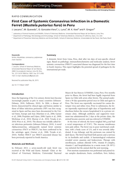 First Case of Systemic Coronavirus Infection in a Domestic Ferret (Mustela Putorius Furo) in Peru