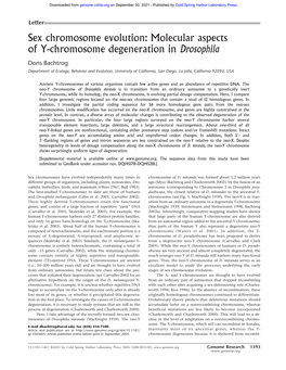 Molecular Aspects of Y-Chromosome Degeneration in Drosophila