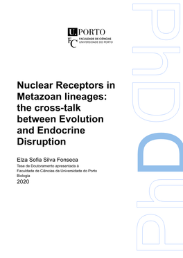 Nuclear Receptors in Metazoan Lineages: the Cross-Talk Between Evolution and Endocrine Disruption