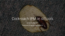 Cockroach IPM in Schools Janet Hurley, ACE Extension Program Specialist III What Are Cockroaches?