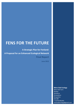 Fens for the Future Strategy