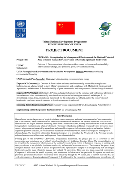 Project Document