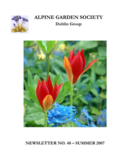 Dublin Group NEWSLETTER NO. 48 – SUMMER 2007