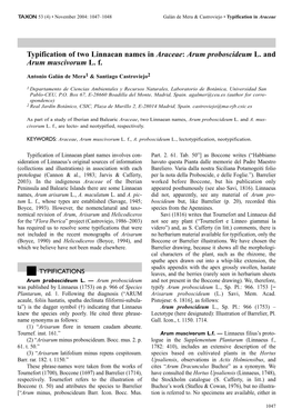 Typification of Arisarum Proboscideum